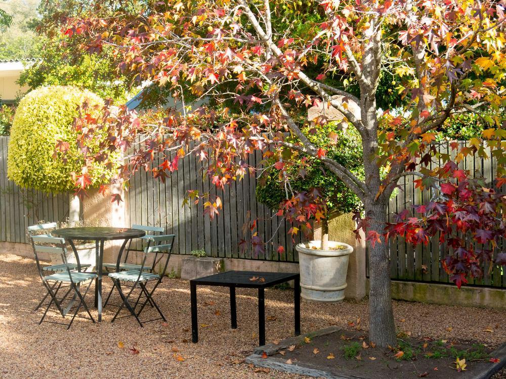 Babette Bed And Breakfast Swellendam Exterior foto